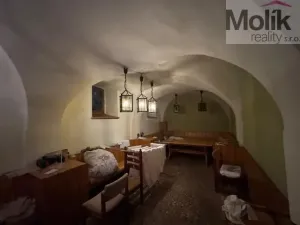 Prodej ubytování, Český Jiřetín, 1753 m2