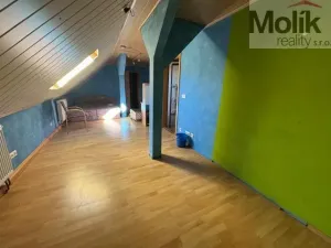 Prodej ubytování, Český Jiřetín, 1753 m2