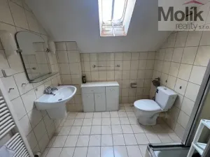 Prodej ubytování, Český Jiřetín, 1753 m2