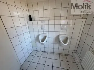 Prodej ubytování, Český Jiřetín, 1753 m2