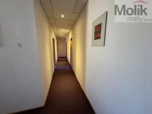 Prodej ubytování, Český Jiřetín, 1753 m2