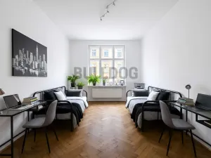 Pronájem bytu 4+kk, Praha - Karlín, Sokolovská, 115 m2