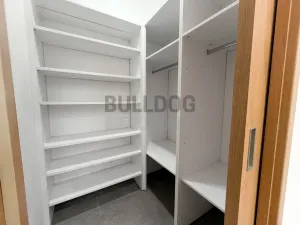 Pronájem bytu 4+kk, Praha - Karlín, Sokolovská, 115 m2