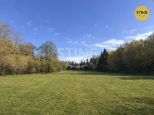 Prodej pozemku pro bydlení, Horní Planá, 5895 m2