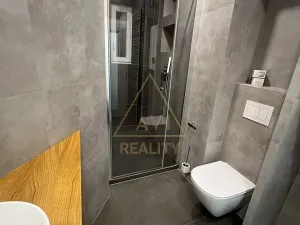 Pronájem bytu 2+kk, Praha - Bubeneč, dr. Zikmunda Wintra, 56 m2