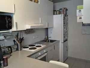 Pronájem bytu 1+kk, Brno, U Leskavy, 47 m2