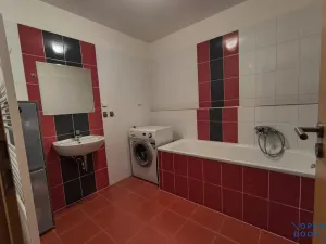 Pronájem bytu 1+kk, Brno, U Leskavy, 47 m2