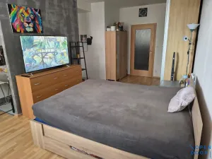 Pronájem bytu 1+kk, Brno, U Leskavy, 47 m2