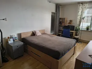 Pronájem bytu 1+kk, Brno, U Leskavy, 47 m2