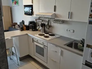 Pronájem bytu 1+kk, Brno, U Leskavy, 47 m2