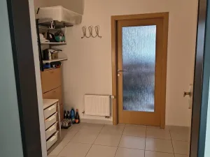 Pronájem bytu 1+kk, Brno, U Leskavy, 47 m2