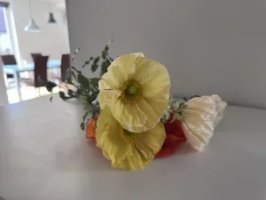 Pronájem rodinného domu, Všestary, Azalková, 124 m2