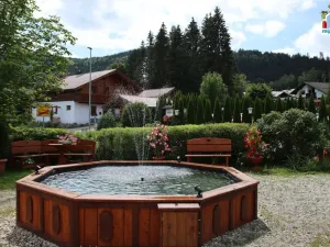 Prodej ubytování, Železná Ruda - Alžbětín, 1746 m2