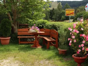 Prodej ubytování, Železná Ruda - Alžbětín, 1746 m2
