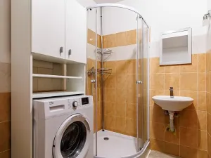 Pronájem bytu 1+kk, Olomouc, Masarykova třída, 39 m2