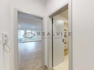 Pronájem bytu 1+kk, České Budějovice, Puklicova, 38 m2