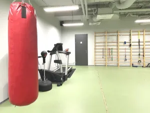 Pronájem bytu 1+kk, Praha - Smíchov, Kobrova, 50 m2