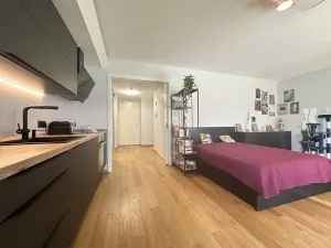 Pronájem bytu 1+kk, Praha - Smíchov, Kobrova, 50 m2