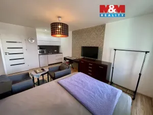 Pronájem bytu 1+kk, Ostrava - Moravská Ostrava, U Parku, 28 m2