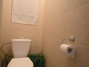 Prodej bytu 3+kk, Praha - Nové Město, Plavecká, 73 m2