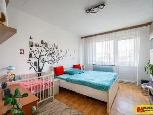 Prodej bytu 2+1, Hrušovany nad Jevišovkou, 58 m2