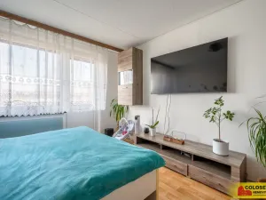 Prodej bytu 2+1, Hrušovany nad Jevišovkou, 58 m2