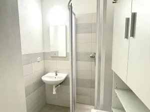 Pronájem bytu 1+1, Staré Sedliště, 42 m2