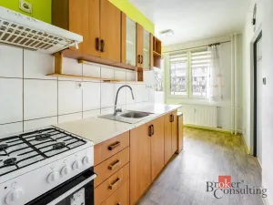 Prodej bytu 1+1, České Budějovice - České Budějovice 2, Vodňanská, 43 m2