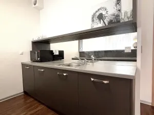 Pronájem bytu 1+kk, Olomouc, Wellnerova, 45 m2