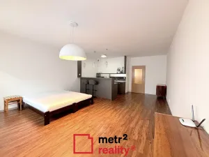 Pronájem bytu 1+kk, Olomouc, Wellnerova, 45 m2
