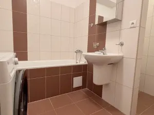 Pronájem bytu 1+kk, Olomouc, Wellnerova, 45 m2