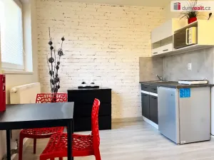 Pronájem bytu 1+kk, Kačice, K zahradě, 18 m2