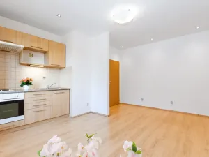Prodej bytu 1+kk, Havířov - Podlesí, Šrámkova, 25 m2