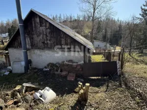 Prodej - jiné, Oborná, 40 m2