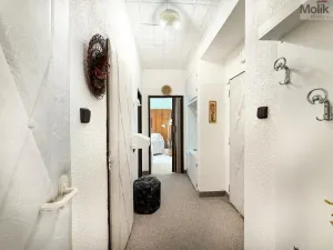 Pronájem bytu 2+1, Most, Brigádnická, 54 m2