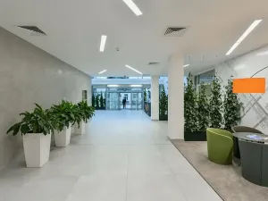 Pronájem kanceláře, Praha - Karlín, Sokolovská, 137 m2