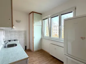 Prodej bytu 1+1, Cheb, 17. listopadu, 34 m2