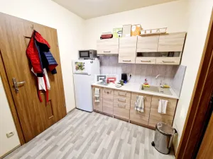 Pronájem pokoje, Olomouc, 8. května, 16 m2