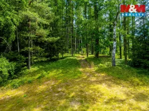 Prodej pozemku, Dlouhý Most, 8531 m2