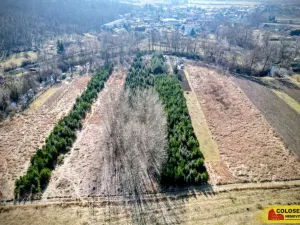 Prodej pole, Znojmo, 2970 m2