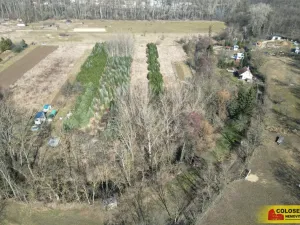 Prodej pole, Znojmo, 2970 m2