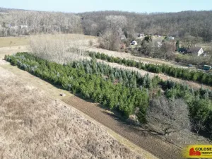 Prodej pole, Znojmo, 2970 m2