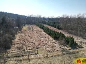 Prodej pole, Znojmo, 5202 m2