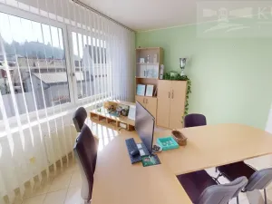 Pronájem obchodního prostoru, Příbram, Fibichova, 439 m2