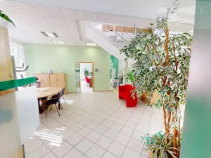 Pronájem obchodního prostoru, Příbram, Fibichova, 439 m2