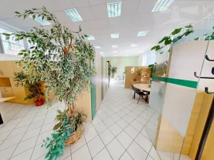 Pronájem obchodního prostoru, Příbram, Fibichova, 439 m2