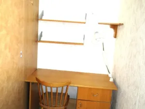 Prodej rodinného domu, Plzeň - Východní Předměstí, 160 m2