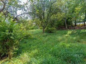 Prodej rodinného domu, Konice, 300 m2