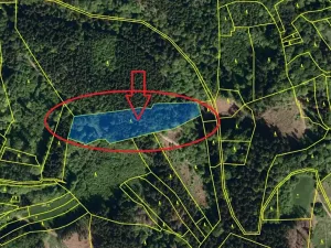 Prodej lesa, Janová, 7449 m2