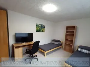 Pronájem pokoje, Praha - Dejvice, Pod Mlýnkem, 20 m2